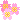 The flower-flower fruit the flower-flower fruit